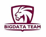 BigData Team